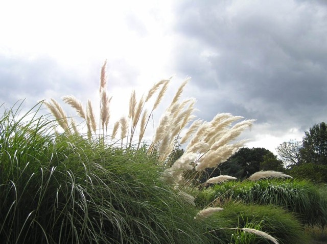 De grastuin in Kew Gardens was ook prachtig