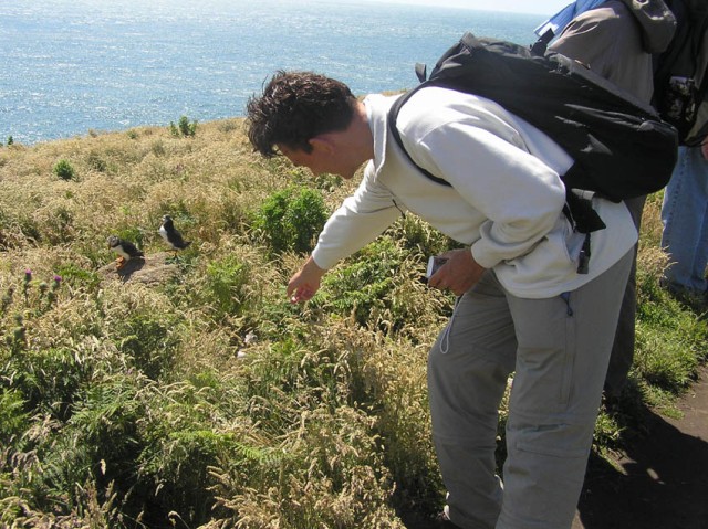 Hessel ontdekt papegaaiduikers (puffins)