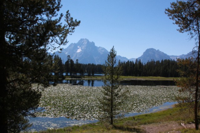 Mount Moran gezien vanaf Swan Lake bij Colter Bay Village, waar we logeerden