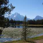 Mount Moran gezien vanaf Swan Lake bij Colter Bay Village, waar we logeerden