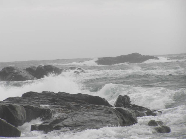 Door de harde wind was de zee erg wild