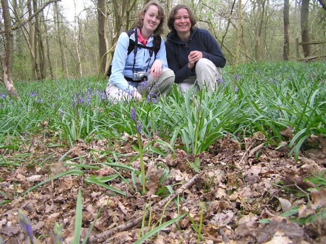 Eindelijk! Het eerste echte bluebell-veld!