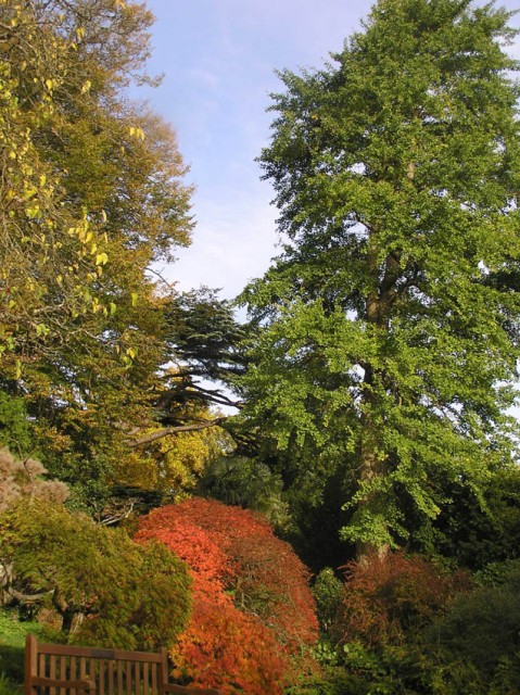 In de botanische tuinen was het volop herfst