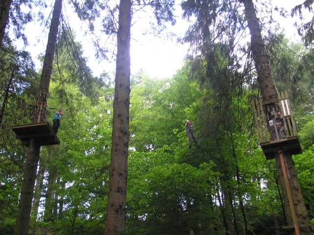 Dit is Go Ape, een survivalparcours door de boomtoppen in Grizedale forest