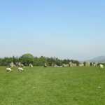 Het doel van deze wandeling was dit prachtige prehistorische monument, castlerigg stone circle