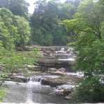 Op weg naar Yorkshire kwamen we langs de Aysgarth Falls