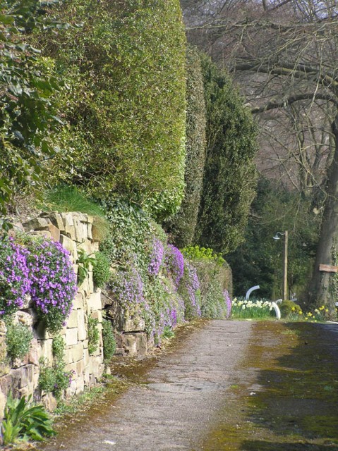 In het lieflijke Reigate klommen we omhoog naar de North Downs