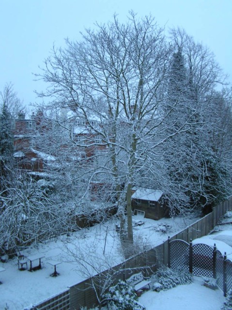 vanochtend bleek er achter de gesloten gordijnen een grote verrassing te schuilen: sneeuw!