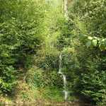 al wandelend kwamen we langs dit schitterende watervalletje (als je goed kijkt kun je zien dat het een vrij hoge waterval is)